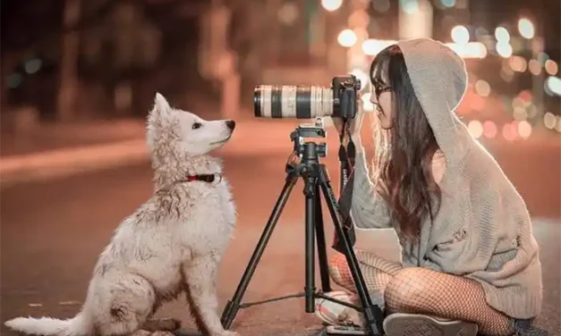 Tips Fotografi Untuk Pemula Agar Hasil Maksimal