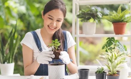 Hobi Kreatif Yang Bisa Menjadi Terapi Mental