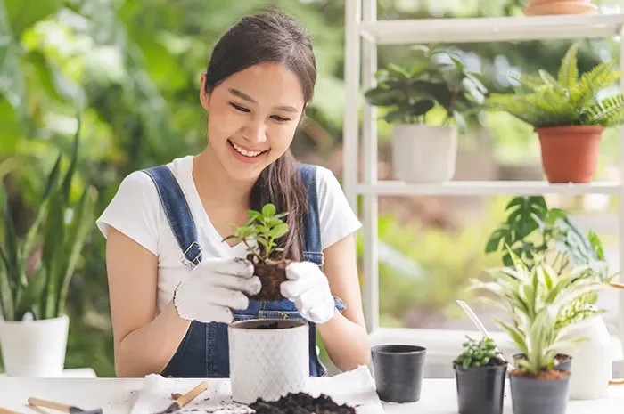 Hobi Kreatif Yang Bisa Menjadi Terapi Mental